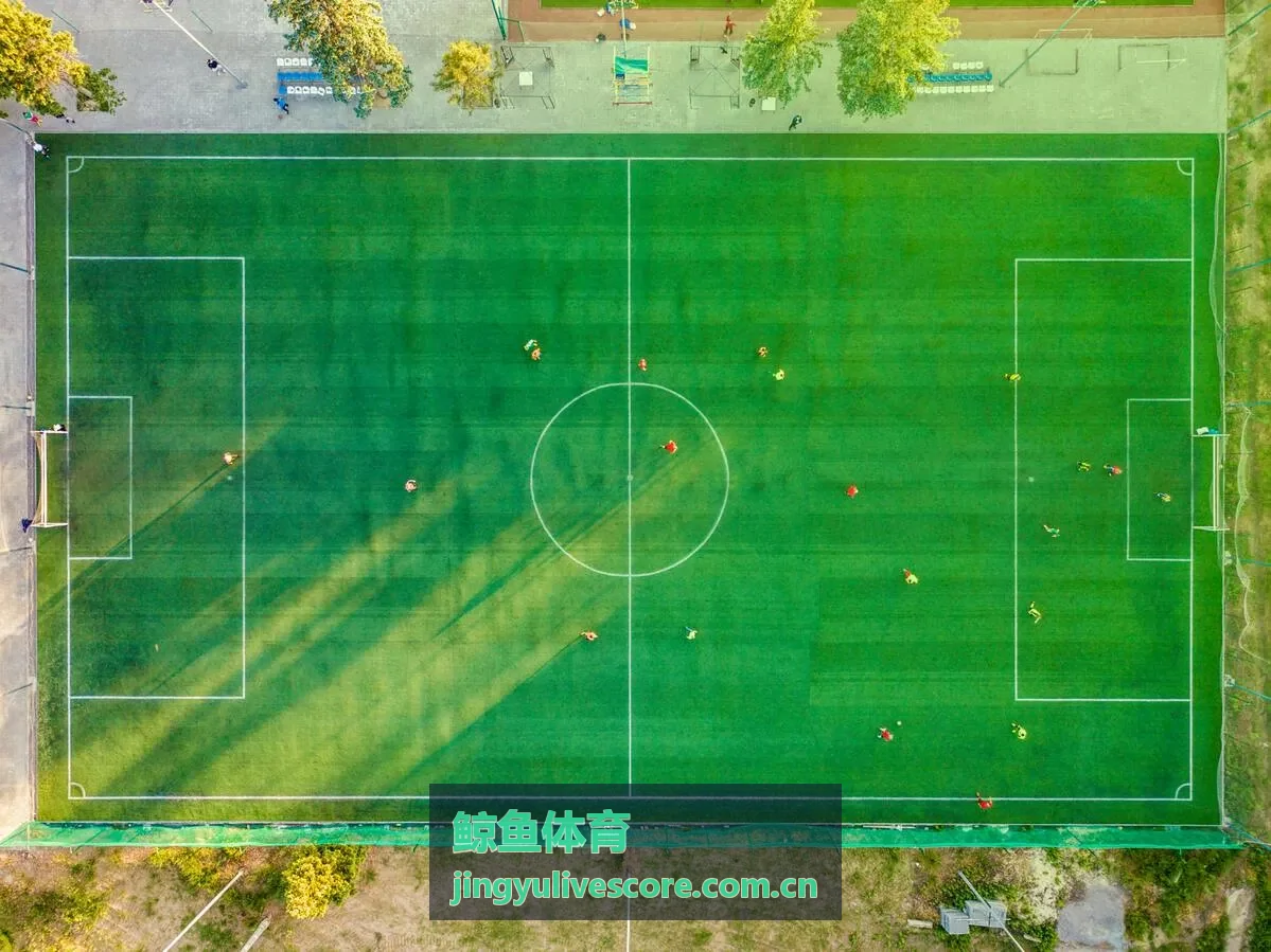 鲸鱼体育足球比分分类入口